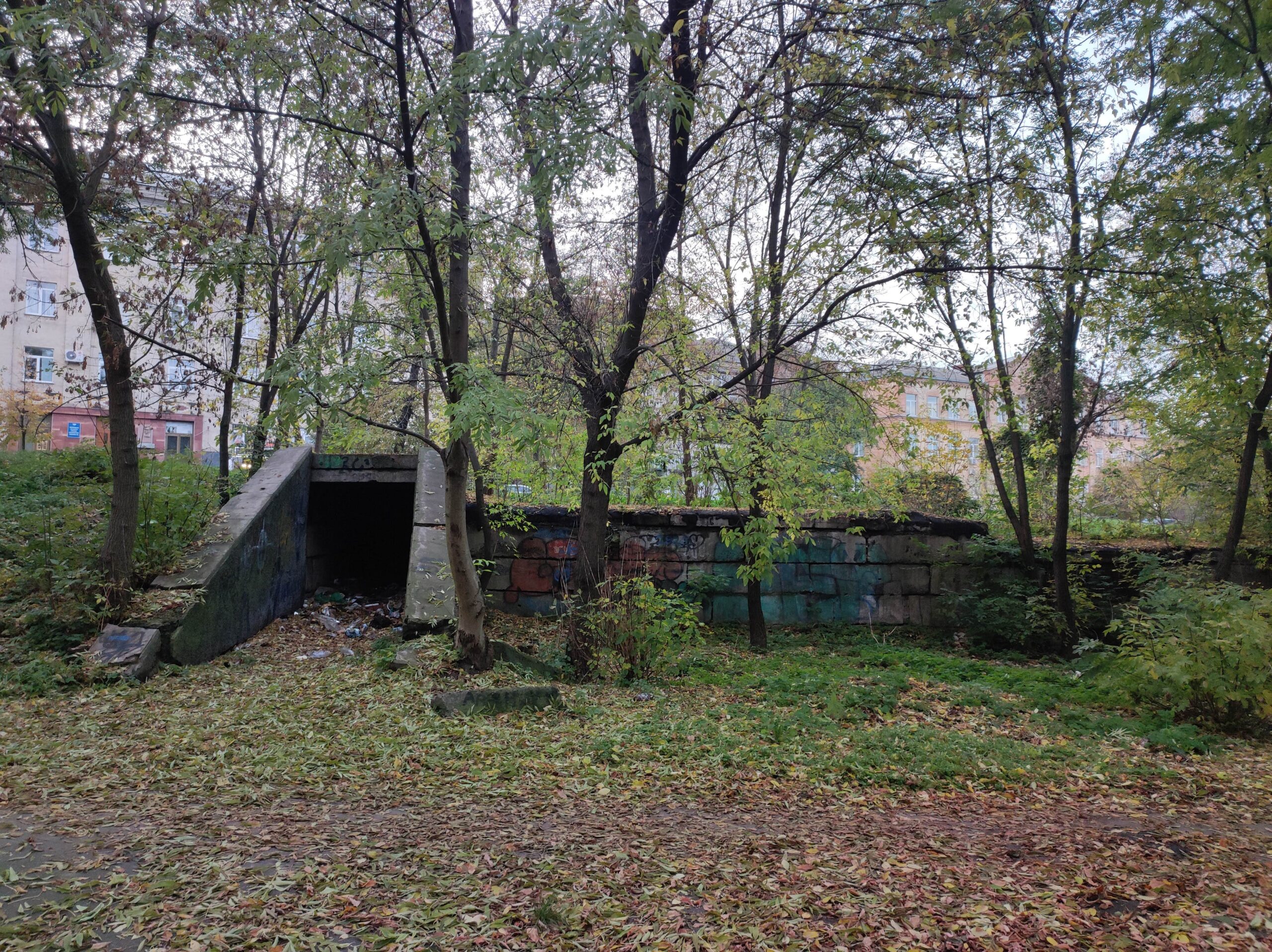 Як у Вінниці знищували “росію” і чому це принесло мільйонні збитки міському бюджету