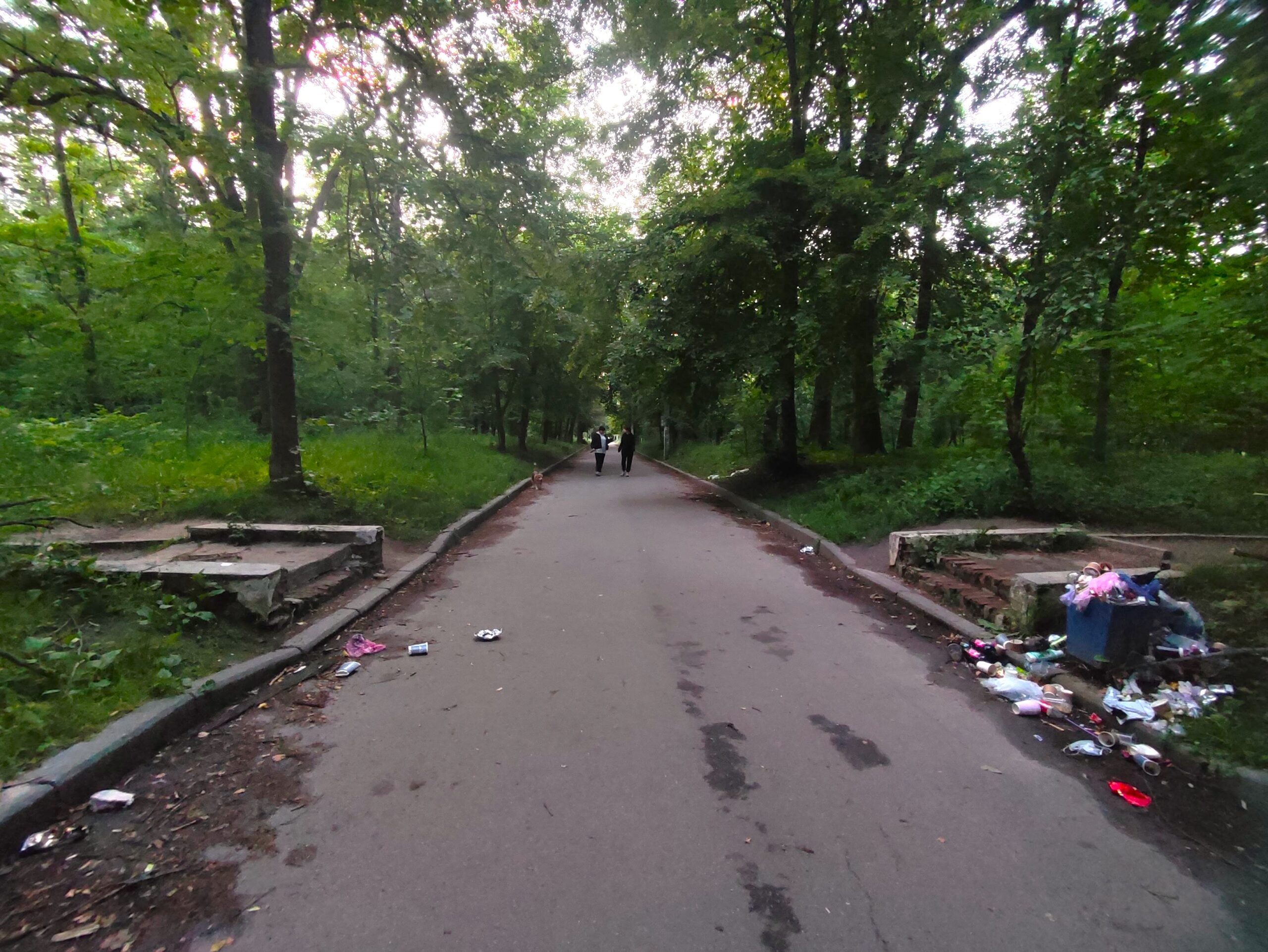 Вінницькі міська та обласна ради не мають інформації щодо відсутності прибирання парку ім. О. І. Ющенка