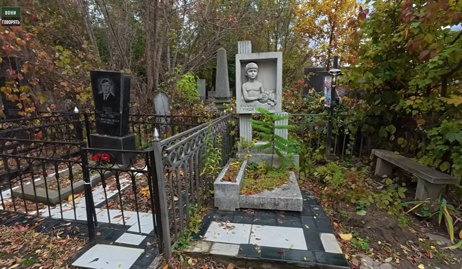 Одне дерево вже впало на три пам’ятники: вінничани вимагають прибрати аварійні насадження біля Алеї Слави