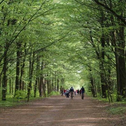 На ремонт парковки біля Лісопарку з бюджету Вінниці витратять 3,4 мільйона гривень