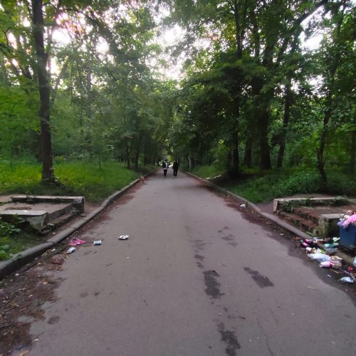 Вінницькі міська та обласна ради не мають інформації щодо відсутності прибирання парку ім. О. І. Ющенка