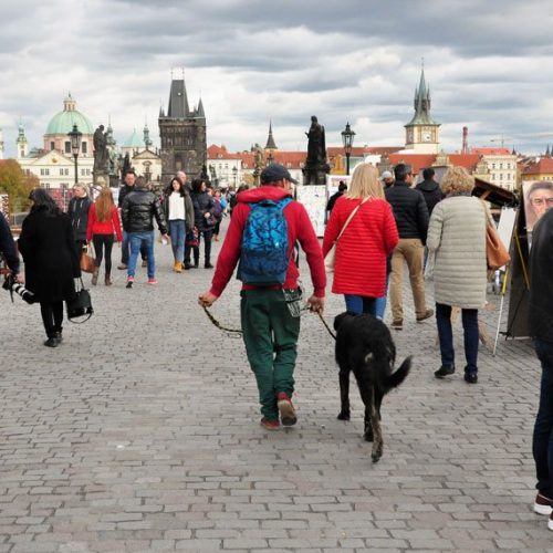 «ДІЙ!-Вінниця»  не знайшов жодного турнікету при вході в мерії чеських міст