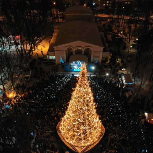 Вінницька новорічна ялинка на  першому місці в Україні… по зрубаних на неї деревах